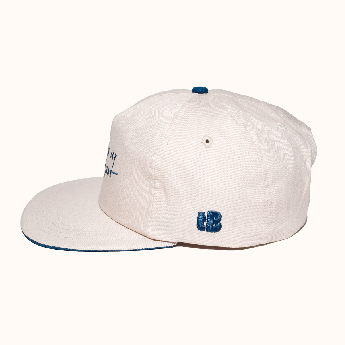 This Is My Party Hat